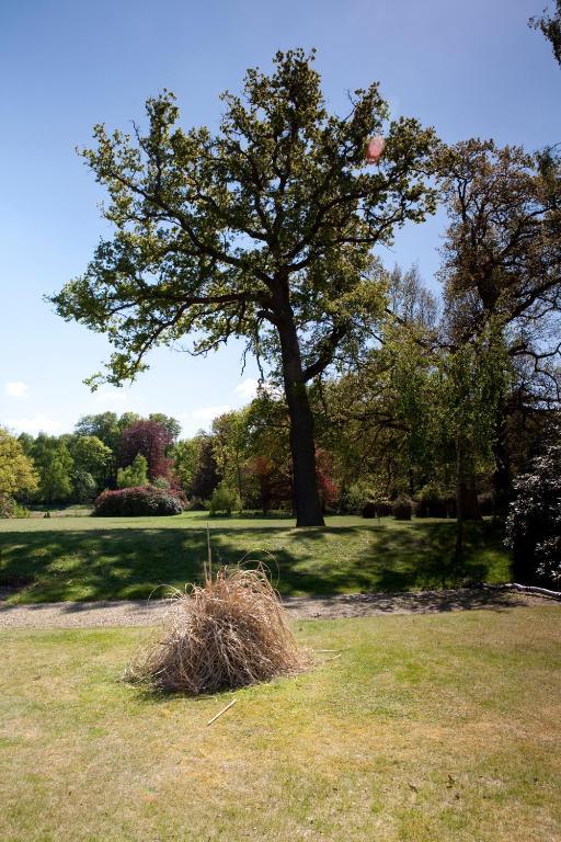 Petwood Hotel Woodhall Spa Esterno foto