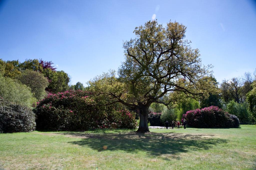 Petwood Hotel Woodhall Spa Esterno foto